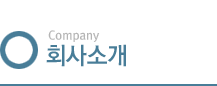 비주얼
