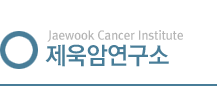 비주얼